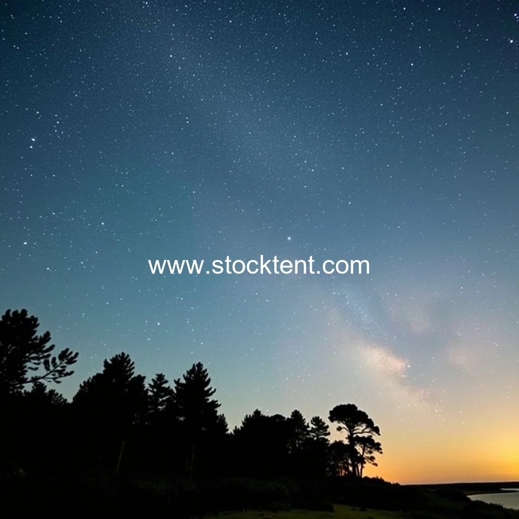 Read more about the article Why This Florida State Park Is a Must  visit for Stargazing Enthusiasts